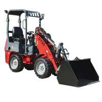 DY25  small farming tractor loader